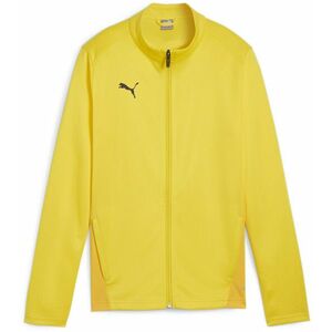 Dzseki Puma teamGOAL Training Jacket Wmn kép