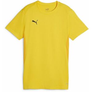 Póló Puma teamGOAL Jersey Wmn kép