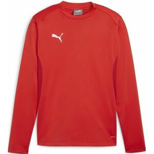 Melegítő felsők Puma teamGOAL Training Sweatshirt kép