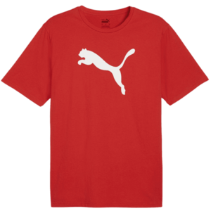 Rövid ujjú póló Puma teamRISE Logo Jersey Cotton kép
