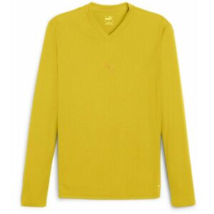 Hosszú ujjú póló Puma teamGOAL Baselayer Tee LS kép