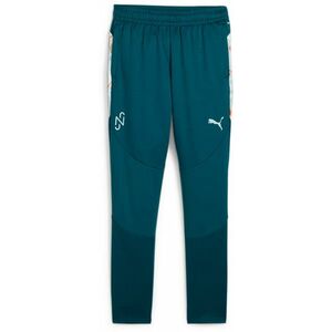 Nadrágok Puma x NEYMAR JR Creativity Football Youth Training Pants kép