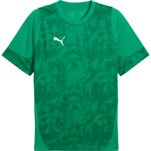 Póló Puma teamCUP Training Jersey kép