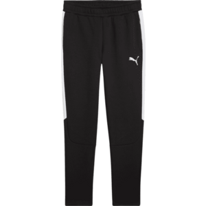 Nadrágok Puma teamEVOSTRIPE Pants kép