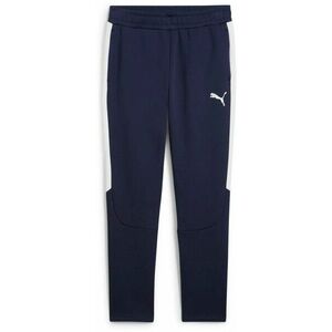 Nadrágok Puma teamEVOSTRIPE Pants kép