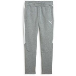 Nadrágok Puma teamEVOSTRIPE Pants kép