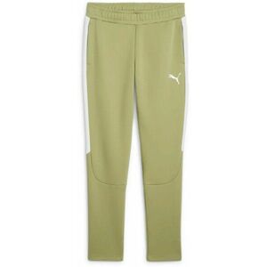 Nadrágok Puma teamEVOSTRIPE Pants kép