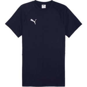 Rövid ujjú póló Puma teamEVOSTRIPE Tee kép