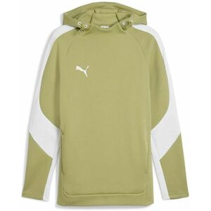 Kapucnis melegítő felsők Puma teamEvostripe Hoody kép