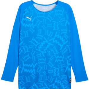 Hosszú ujjú póló Puma Teamjaws Graphic Ls Shooting Shirt kép