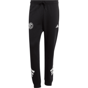 Nadrágok adidas Fortuna Düsseldorf Future Icons 3-Stripes kép