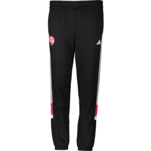 Nadrágok adidas 1. FC Nürnberg Kids kép