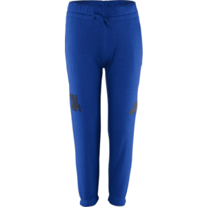 Nadrágok adidas FC Schalke 04 Essentials Kids kép