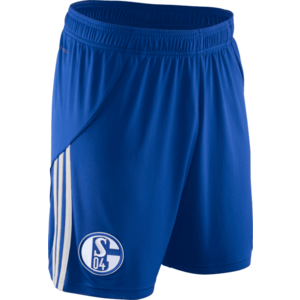 Rövidnadrág adidas FC Schalke 04 Away Short 2025/26 Kids kép