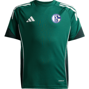 Póló adidas FC Schalke 04 Training Shirt Kids kép