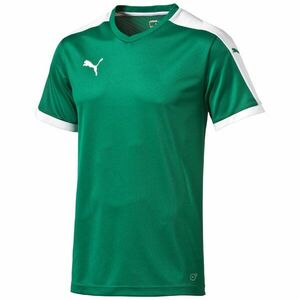 Póló Puma Pitch SS kép