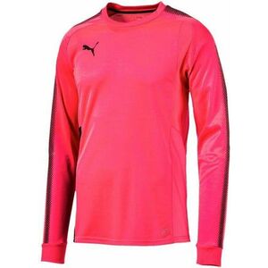 Hosszú ujjú póló Puma gk shirt f47 kép