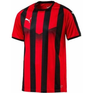 Póló Puma LIGA Jersey Striped kép