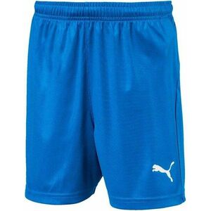Rövidnadrág Puma LIGA Shorts Core w Brief Jr kép