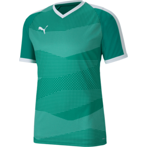 Póló Puma teamFINAL Indoor kép