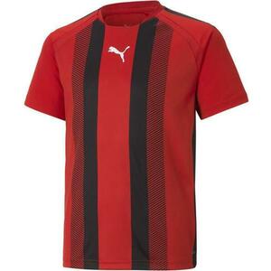 Póló Puma teamLIGA Striped Jersey Jr kép