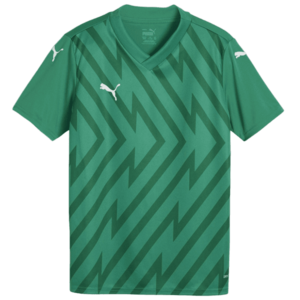 Póló Puma teamGLORY Jersey Jr kép