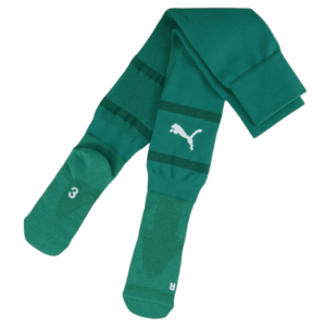 Sportszárak Puma teamFINAL Socks kép