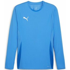 Hosszú ujjú póló Puma teamGOAL Jersey LS M kép
