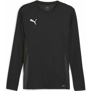 Hosszú ujjú póló Puma teamGOAL Jersey LS M kép