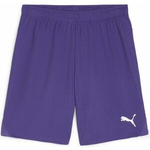 Rövidnadrág Puma teamGOAL Shorts kép