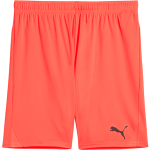 Rövidnadrág Puma teamGOAL Shorts kép