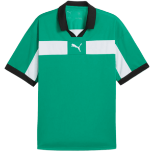 Póló Puma teamCLASSIC Match Jersey kép