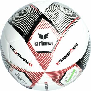 Labda Erima Erima Hybrid 2.0 Trainingsball 11TS kép