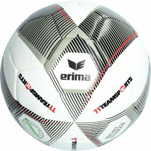 Labda Erima Erima Hybrid 2.0 Lite 350g Lightball 11ts kép