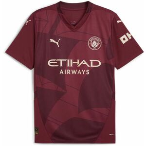 Póló Puma Manchester City 2024/25 3rd Jersey Men kép