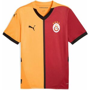 Póló Puma GSK Home Jersey Replica w/o sponsor 2024/25 kép