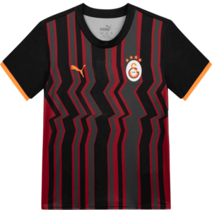 Póló Puma Galatasaray SK 3rd 2024/25 Kids kép