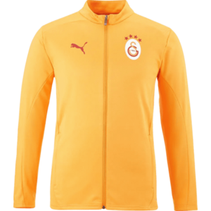 Dzseki Puma Galatasaray Istanbul Training Jacket kép