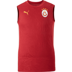 Atléta trikó Puma Galatasaray Istanbul Training SL T-Shirt kép