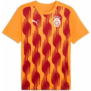 Póló Puma GSK Prematch SS Jersey 2024/25 kép