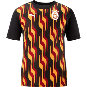 Póló Puma Galatasaray Istanbul Training T-Shirt kép