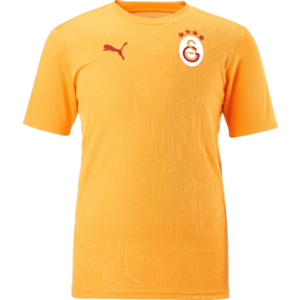 Póló Puma Galatasaray Istanbul Training T-Shirt kép
