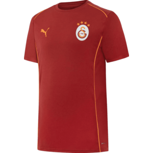Póló Puma Galatasaray Istanbul Casual T-Shirt kép