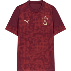 Póló Puma Galatasaray Istanbul Training Jersey Kids 2025/26 kép