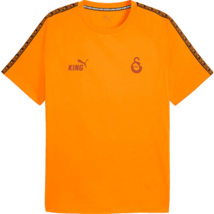 Rövid ujjú póló Puma Galatasaray Istanbul King T-Shirt kép