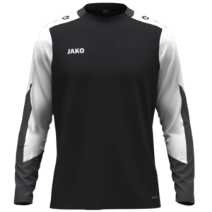 Hosszú ujjú póló Jako JAKO Longsleeve Dynamic kép