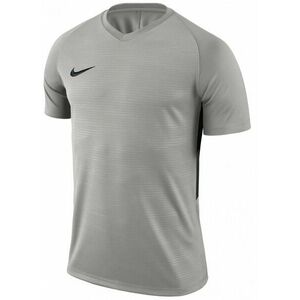 Póló Nike M NK DRY TIEMPO PREM JSY SS kép