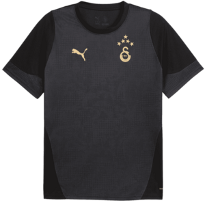 Póló Puma Galatasaray Istanbul Training Jersey kép