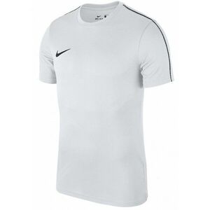 Rövid ujjú póló Nike M NK DRY PARK18 SS TOP kép
