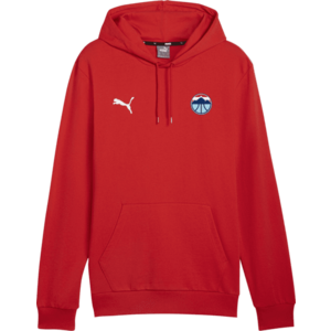 Kapucnis melegítő felsők Puma Basketball Austria Hoody kép